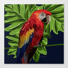 Parrot  Canvas Print
