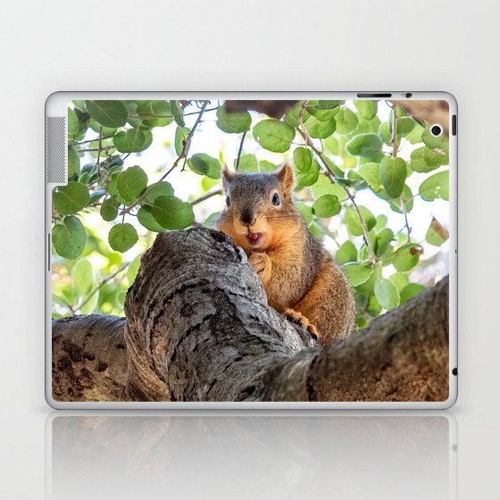 Suspicious Squirrel Guarding Acorn Laptop & iPad Skin