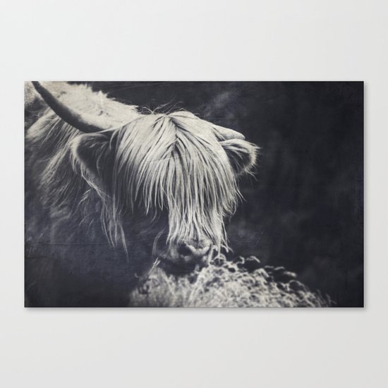 hyppy Canvas Print