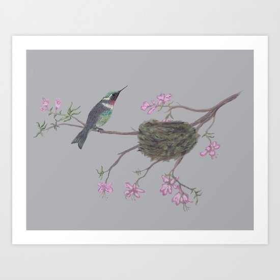 Hummingbird Art Print