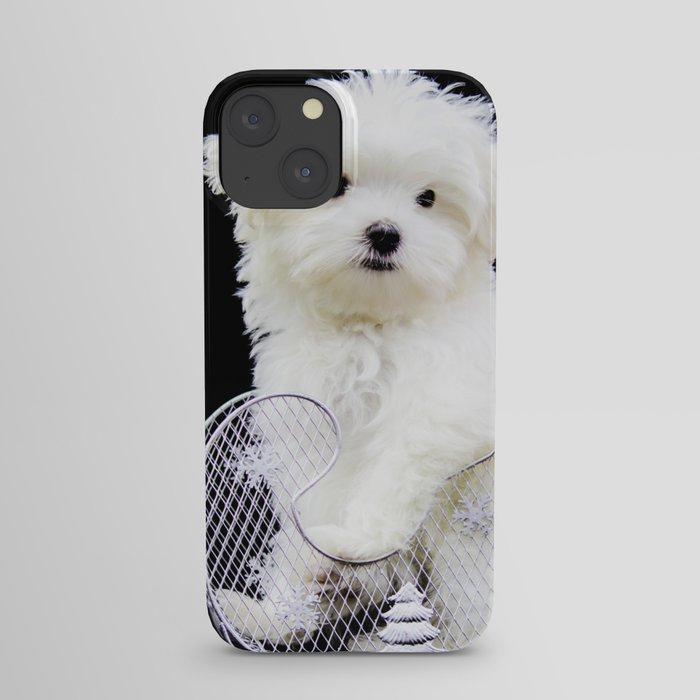 Lancelot the Maltese Puppy in Silver Sled with Red Christmas Poinsettia iPhone Case