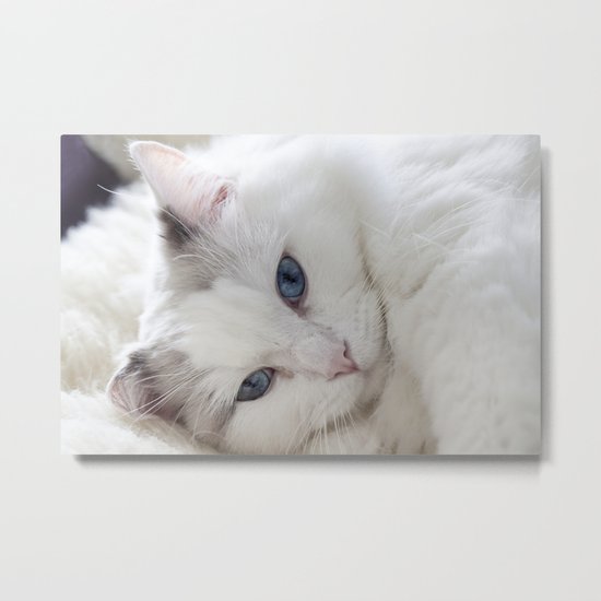 Bedroom eyes Metal Print