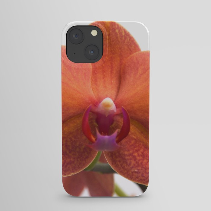 Indian Orange Orchids in full Bloom iPhone Case