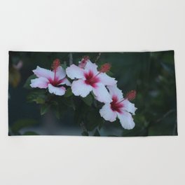 Three Hibiscus Flowers Tree Branch Beach Towel