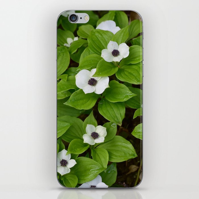 Tongass Trillium iPhone Skin