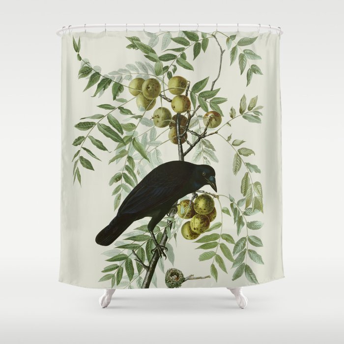 Vintage Crow Illustration Shower Curtain