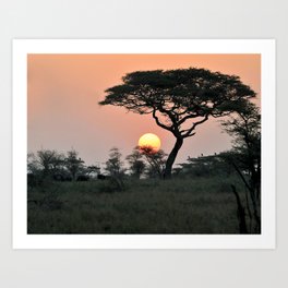 Serengeti  Sunset Art Print