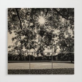 Autumn Fall in Central Park in New York City black and white Wood Wall Art