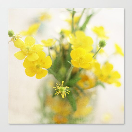 Look at the Bright Side Canvas Print