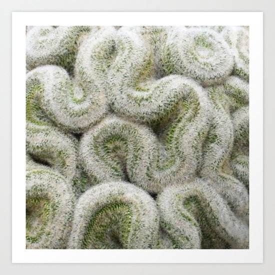 Cactus Art Print
