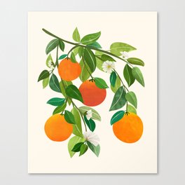 Oranges and Blossoms Tropical Fruit Painting Canvas Print