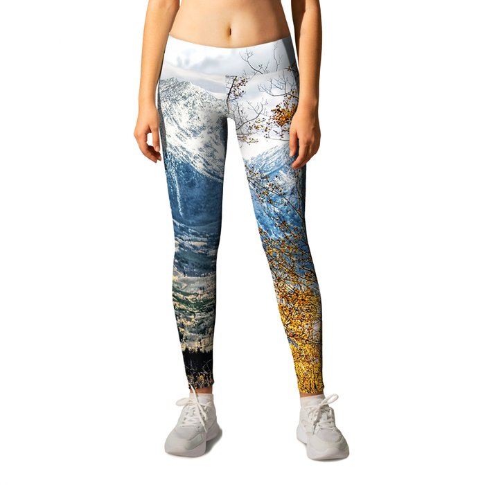 Clrdo tights discount