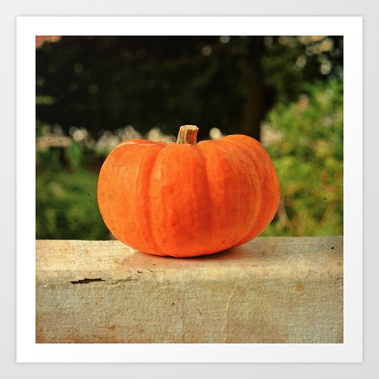 Pumpkin details Art Print