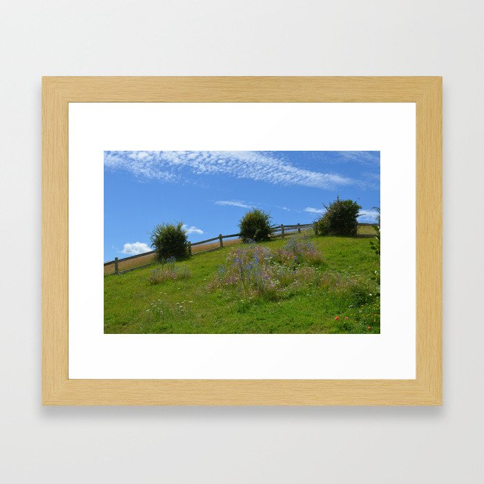 Wildflowers in the New Zealand countryside. Framed Art Print