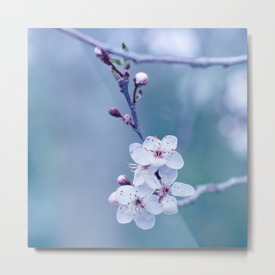 hope springs eternal Metal Print
