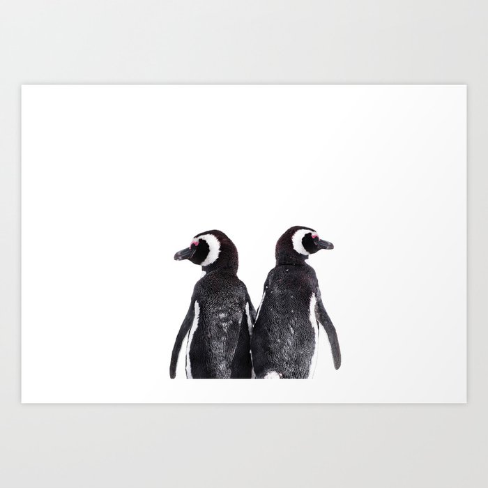 Cute Magellanic Penguin Couple White Background Art Print