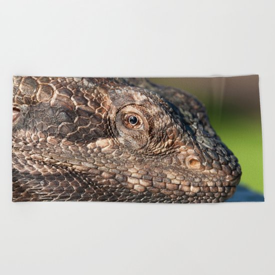 Bearded Dragon watching you Beach Towel