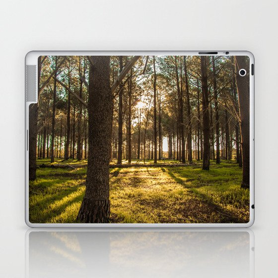Sunset in the Pines Laptop & iPad Skin