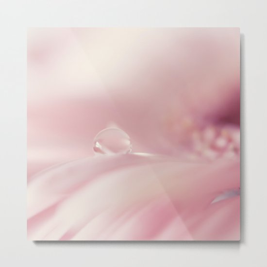 Perched Metal Print
