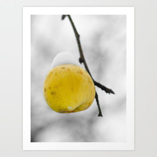 Winter apple Art Print