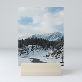 vermilion winter Mini Art Print