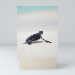 Turtle Beach Mini Art Print