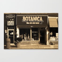 Hackensack, NJ - Botanica 2018 Sepia Canvas Print