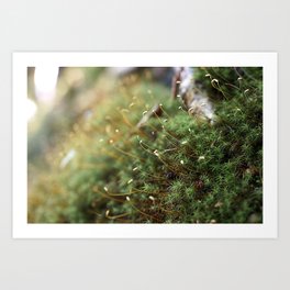 Zoomed Art Prints Society6