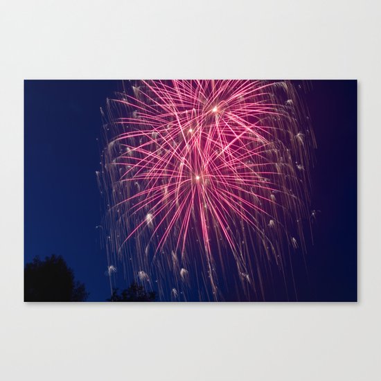 Independence Canvas Print