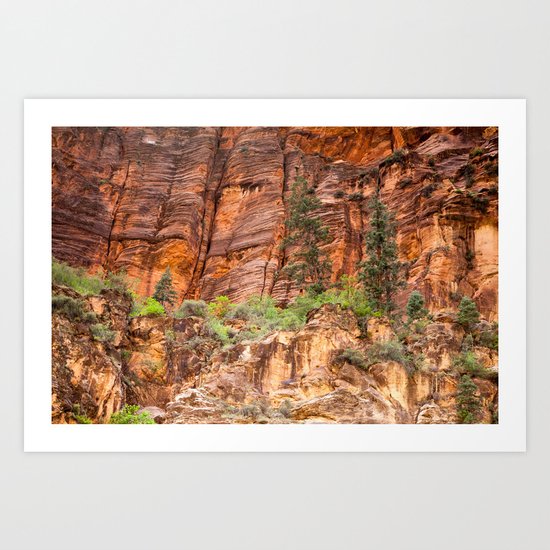 The Narrows, Zion Art Print