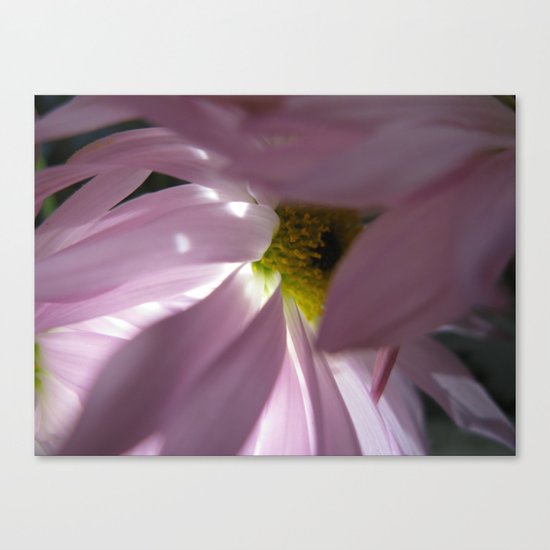 PINK PETALS 38 Canvas Print