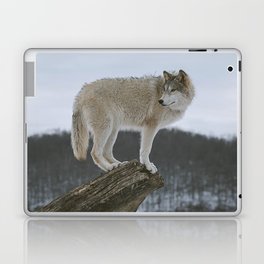 Lake View Laptop Skin