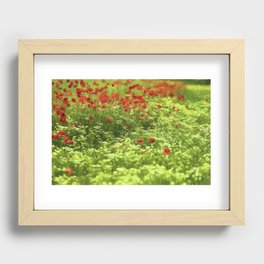 Poppyflower V Recessed Framed Print