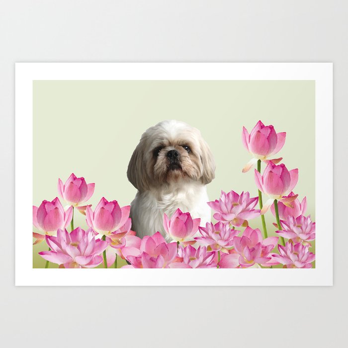 Paul Top Model - Shih tzu Dog - Lotos Flowers  Art Print