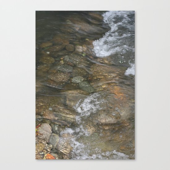 Natural Mosaic 1 Canvas Print