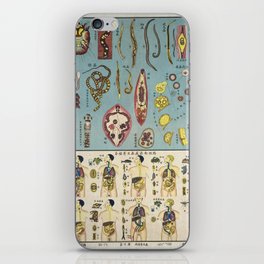 Chinese Parasite Chart Vintage Poster Anatomical  iPhone Skin