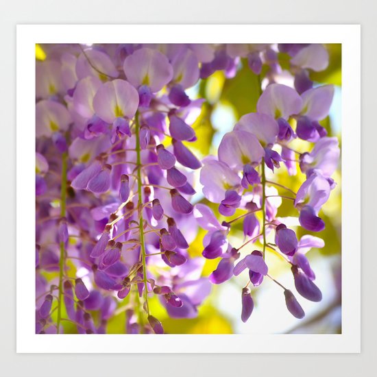 Spring Colors! Art Print