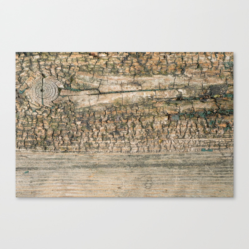 Rustic Wood Turquoise Weathered Paint Wood Grain Art Print Rustic Wood Turquoise Weathered Paint Woo Canvas Print By Turningmoss Society6