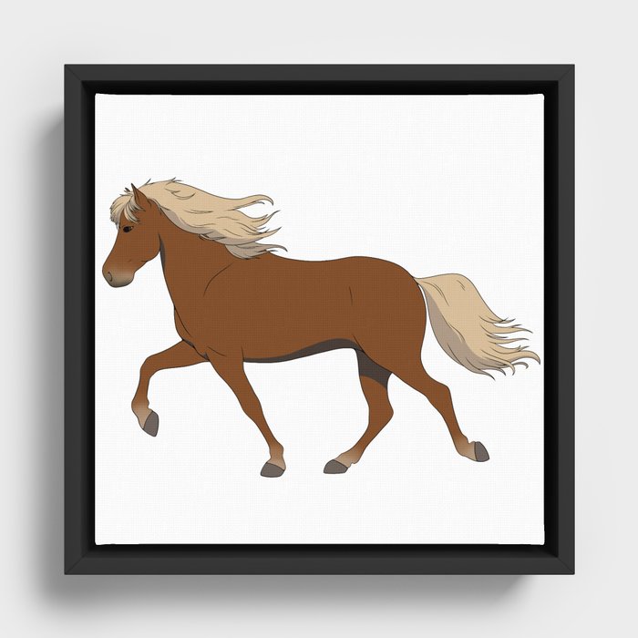 Brown Icelandic Horse Framed Canvas