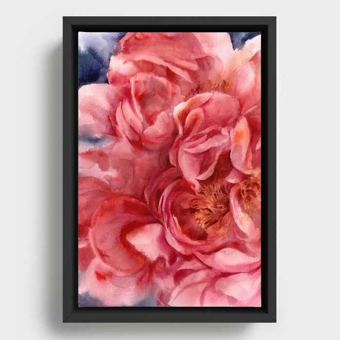 Peony, detail Framed Canvas