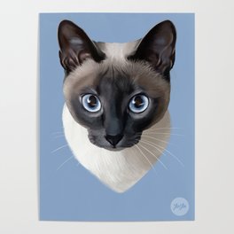 Siamese Cat Poster