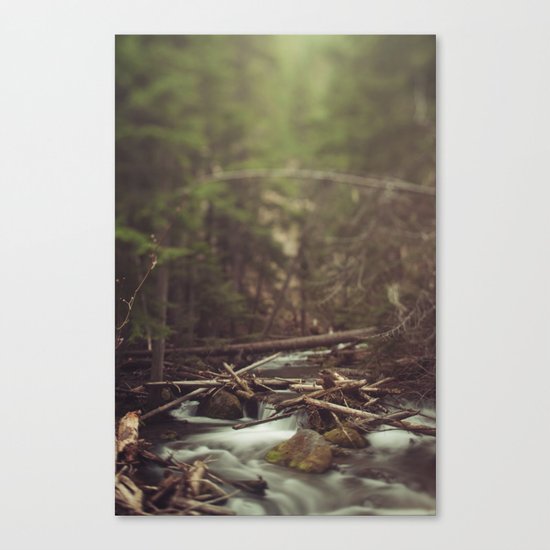 Cold Spring Creek Canvas Print