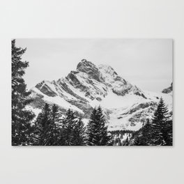 black and white like forest and snow Canvas Print