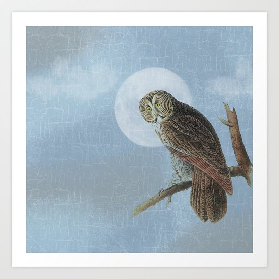 Moon Owl Art Print