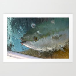 Spanish Sea Tuna Fishing Wall Art: Canvas Prints, Art Prints