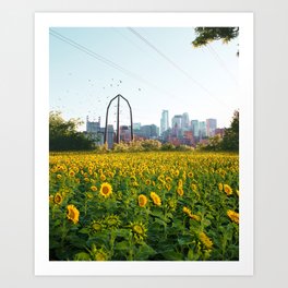 Minneapolis Minnesota Skyline and Sunflowers Art Print