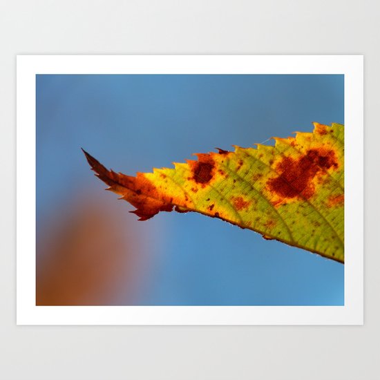 leaf Art Print