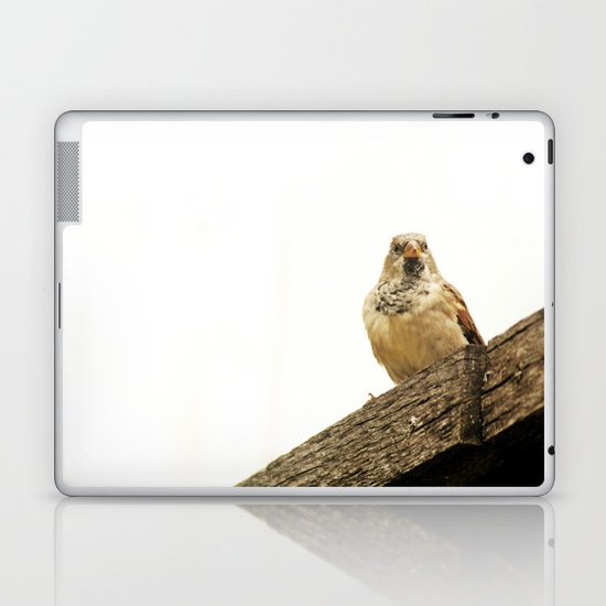 Preparing for Flight Laptop & iPad Skin