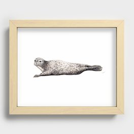 Harbour Seal Recessed Framed Print