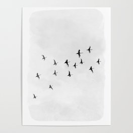 Flock of Birds Poster